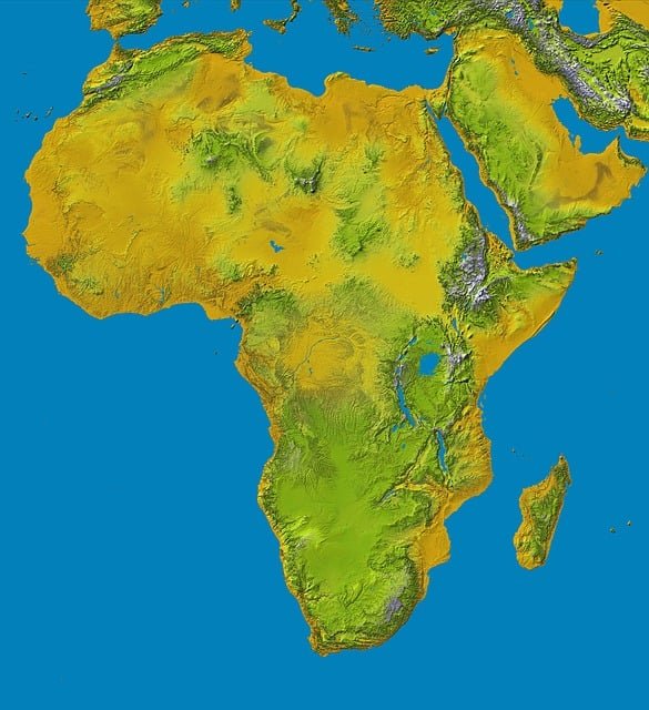 business in africa (3)
